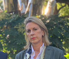 Georgie Crozier not confident Warrnambool Base Hospital will receive upgrade funding - ABC BALLARAT